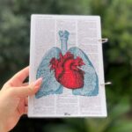 کلاسور اختصاصی هیرا سایز a5قلب(803)