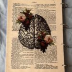 کلاسور اختصاصی هیرا سایزa4 مغز(202)