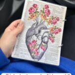 کلاسور قلب آناتومی زیست تجربی