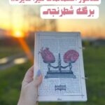 کلاسور ترازو عدالت حقوق رشته حقوق عقل و مغز