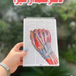 دفتر خطدار آناتومی دست زیست تجربی
