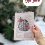 دفتر مغز دفتر فانتزی زیست