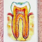 دفتر زیست دندون