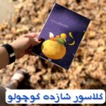 کلاسور اختصاصی هیرا سایز a5 طرح شازده کوچولو