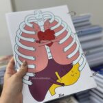 کلاسور اختصاصی هیرا طرح عشق درونی سایز a4