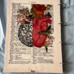 کلاسور اختصاصی هیرا سایز a4 طرح قلب و مغز