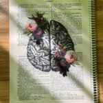 دفترشطرنجی هیرا طرح مغز سایز a4 آماده ارسال فوری