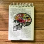 دفترچه شطرنجی 100برگ هیرا آماده ارسال فوری سایز a6