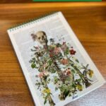 دفترخطدار هیرا سایز a5 طرح اسکلت سبز 60برگ