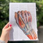 کلاسور اختصاصی هیرا سایز a4